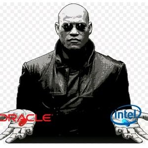 Meet your Posher, Grant